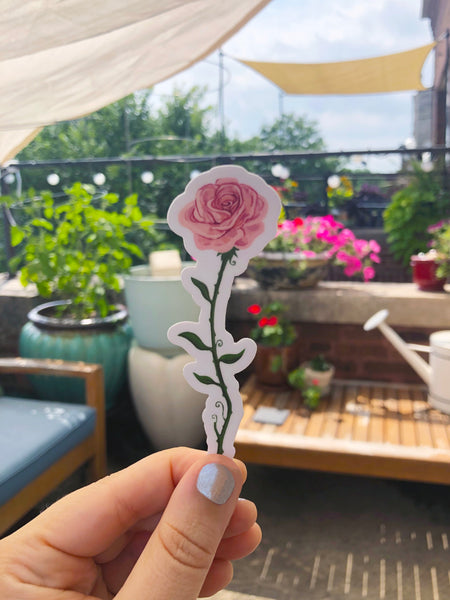 Pink Rose Sticker