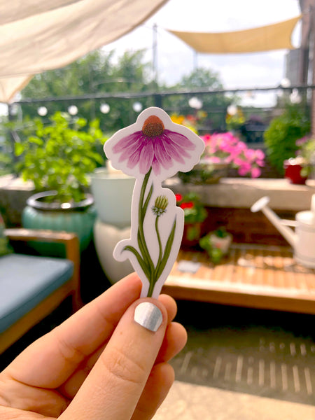 Purple Coneflower Sticker