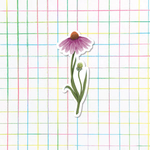 Purple Coneflower Sticker